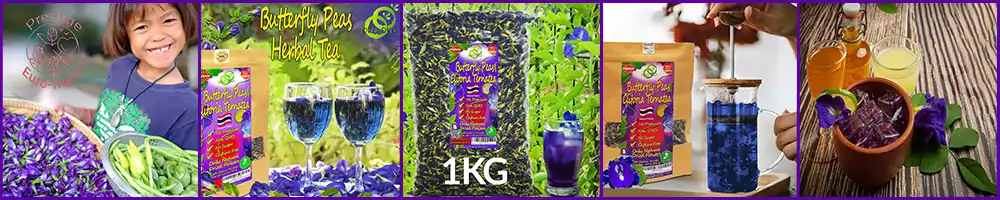 Bloggbanner Fjäril Prickar blomma 1