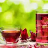 Thé d'Hibiscus <br> fleur entiére | Prestige Euro-Trade Couverture Roselle Prestige Euro trade