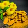 Turméric d'inde Curcuma Illustration racines